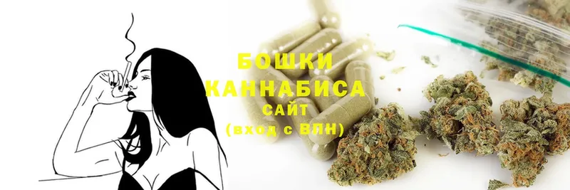 цены   Любим  Канабис Bruce Banner 